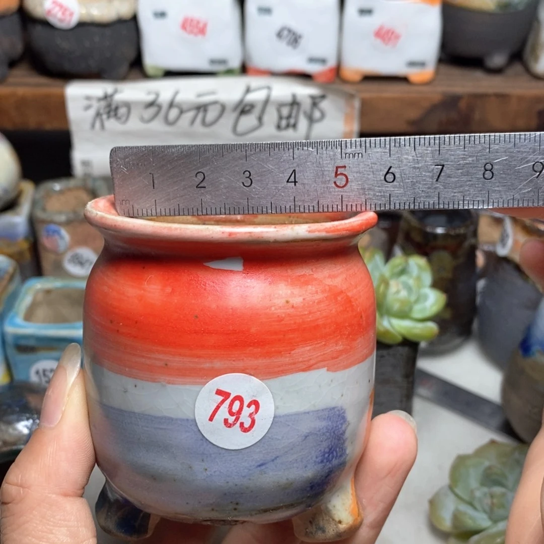 拍5送一个小礼物