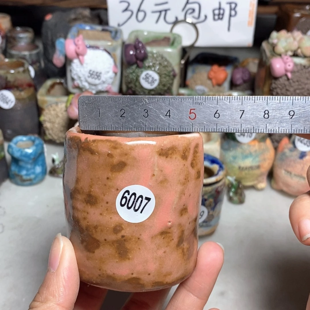 拍3送一个小礼物
