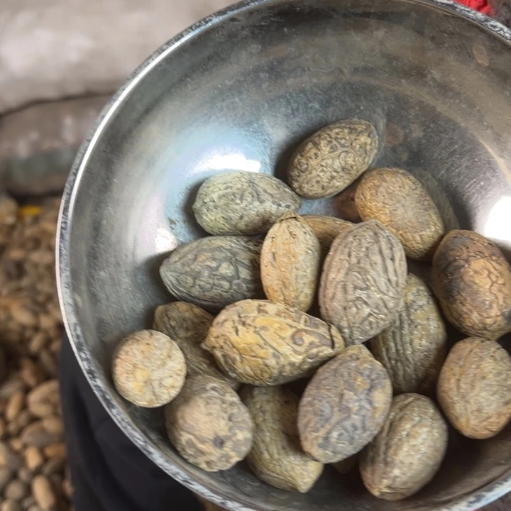 吊坠千眼菩提千眼菩提小胖果 20 个。