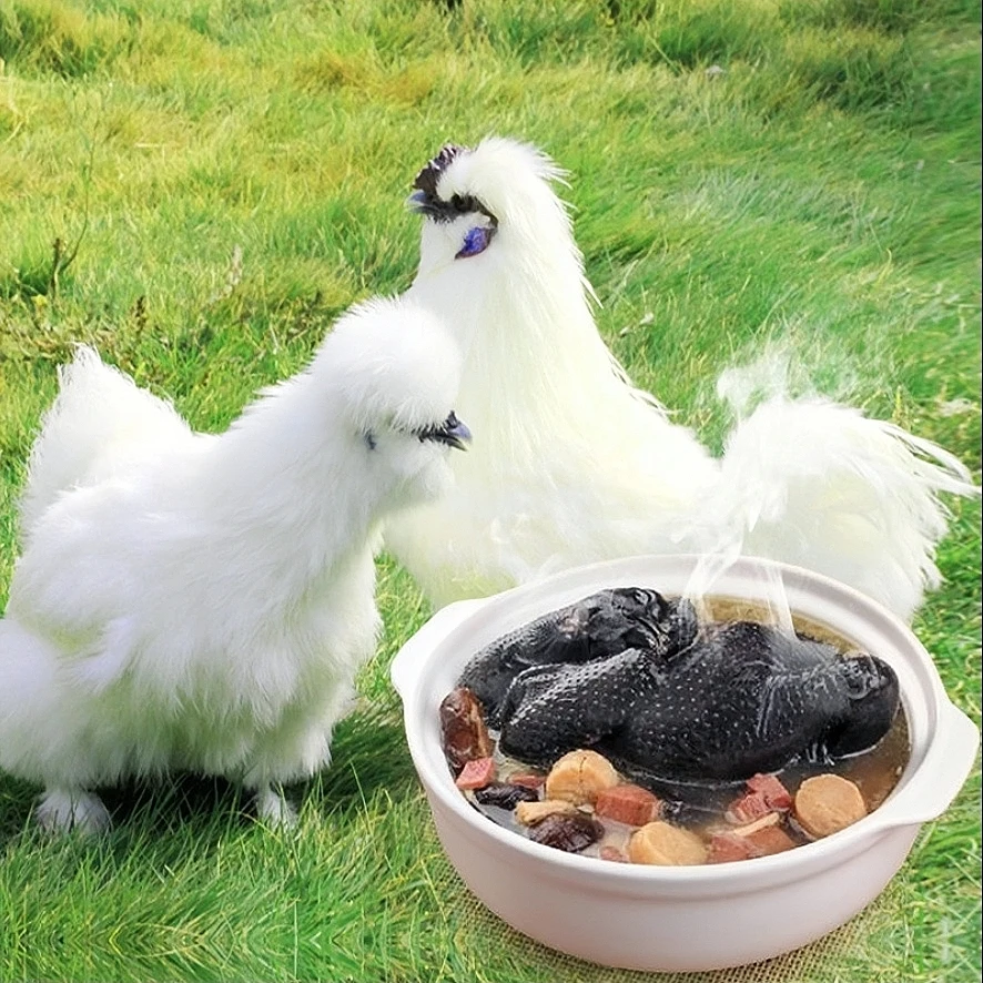 【发3只】白凤乌鸡散养新鲜宰杀5-6斤汤鲜肉嫩滋补煲汤佳品顺丰包邮