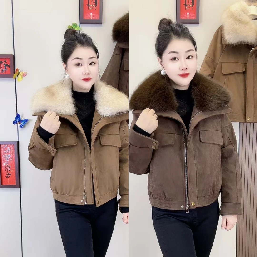 叶8652款鹿皮绒休闲加绒洋气外套