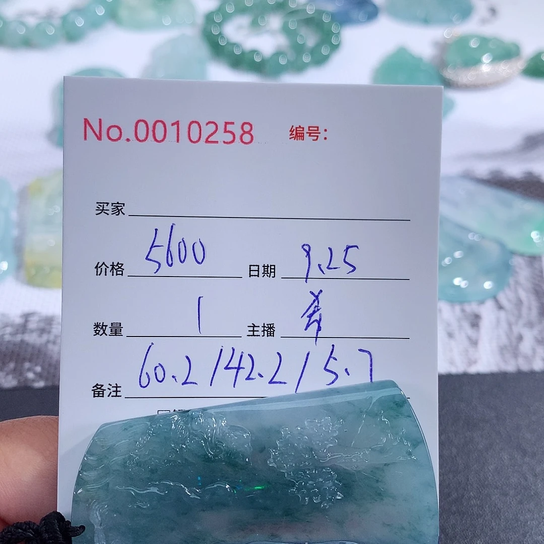 【闪购商品】颈饰未镶嵌翡翠