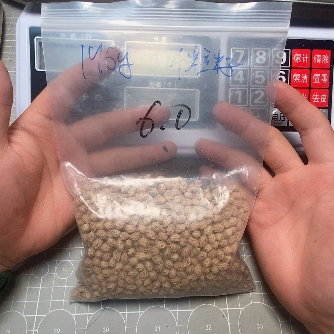 柏香籽/百香籽吊坠