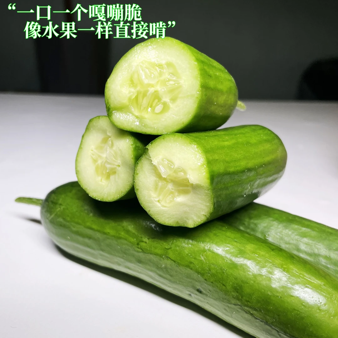 寿光水果黄瓜头茬新鲜现摘无刺脆嫩清甜多汁爽口