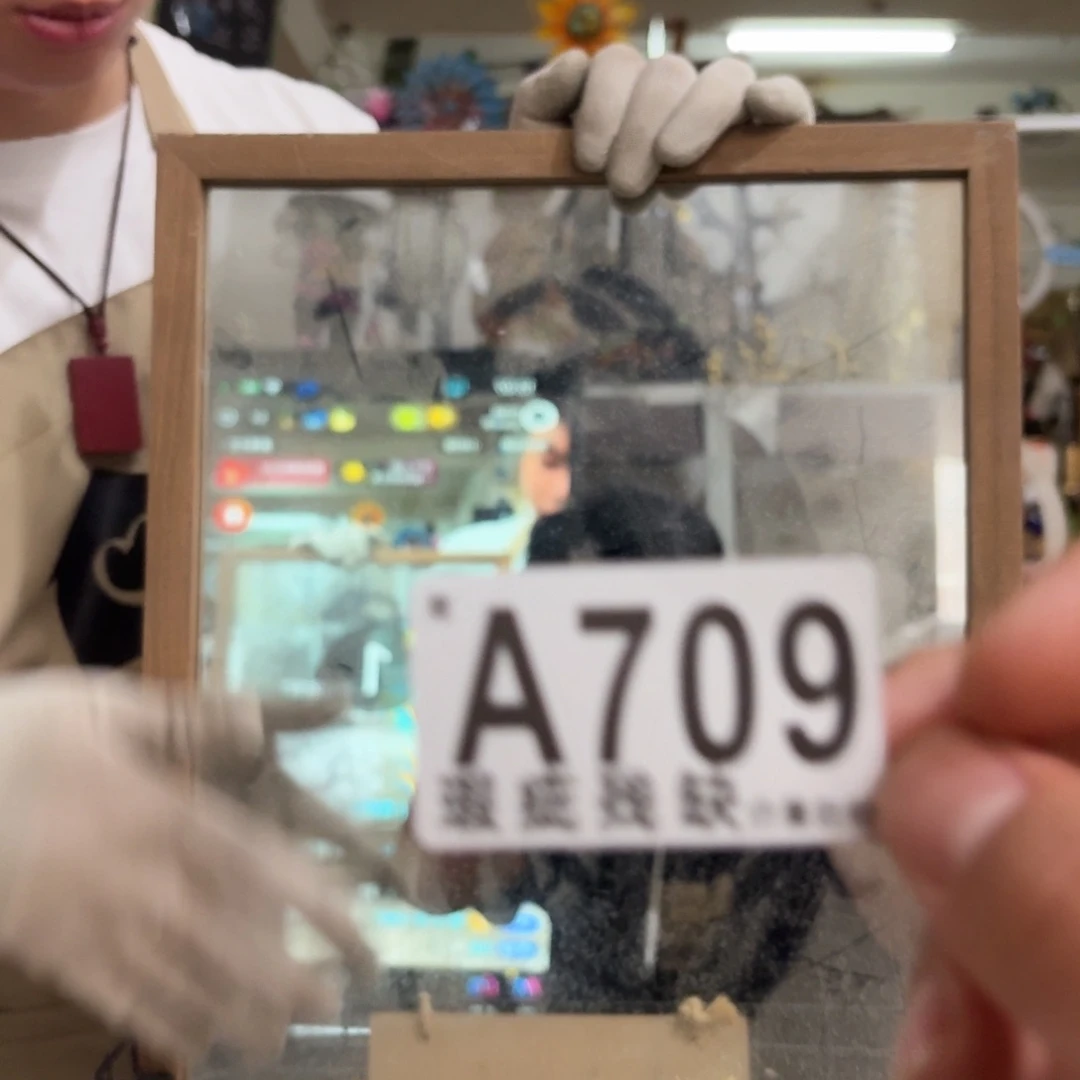 核桃木/黑胡桃（胡桃木）