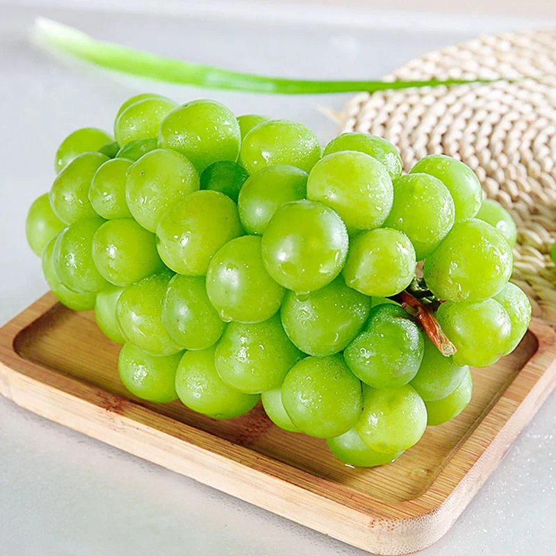 【顺丰包邮】正宗云南阳光玫瑰葡萄青提甜脆多汁整串1-5斤装大果