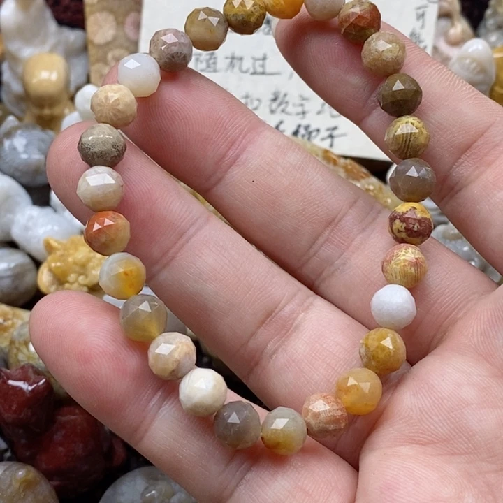 颈饰未镶嵌硅化珊瑚（珊瑚玉）