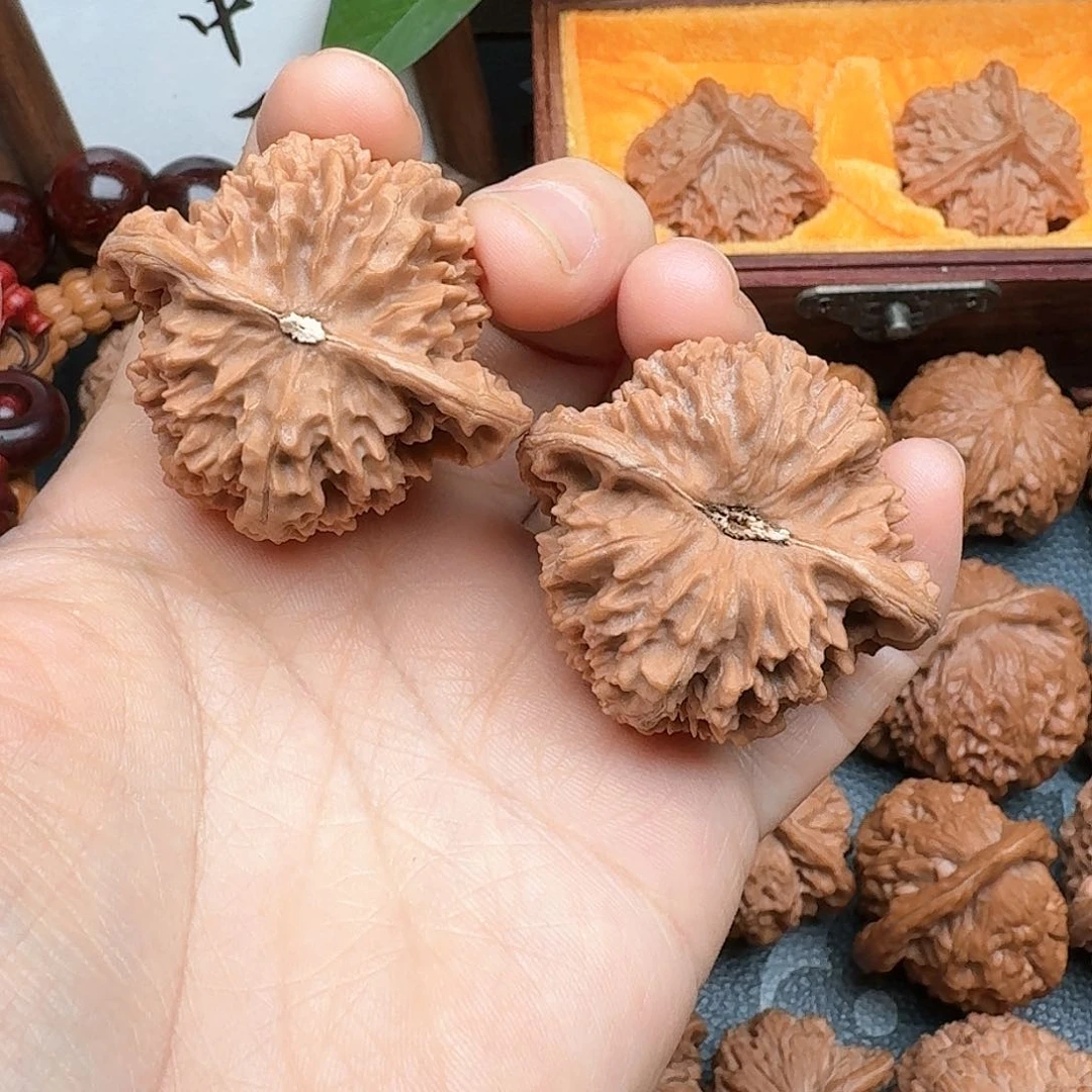 文玩核桃把件凡**子41满天星核桃