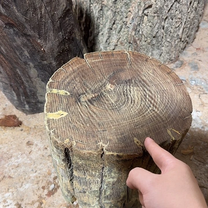 核桃木/黑胡桃（胡桃木）绿檀切片脱骨