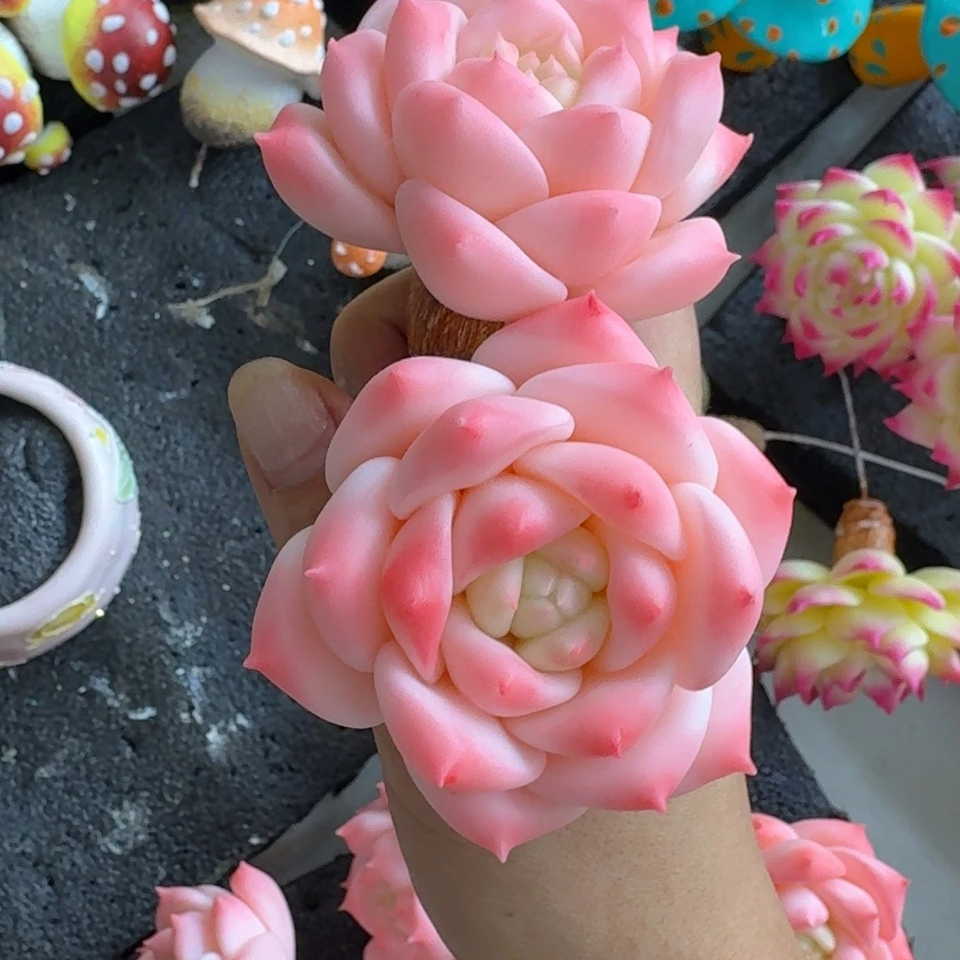 树脂制品2号噢噢噢哦哦