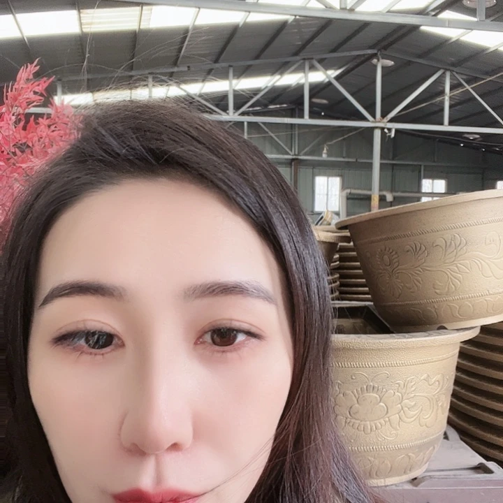 圆50口径花盆两个