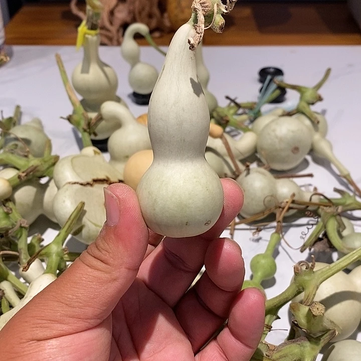 爱*惠精品葫芦手把葫芦82