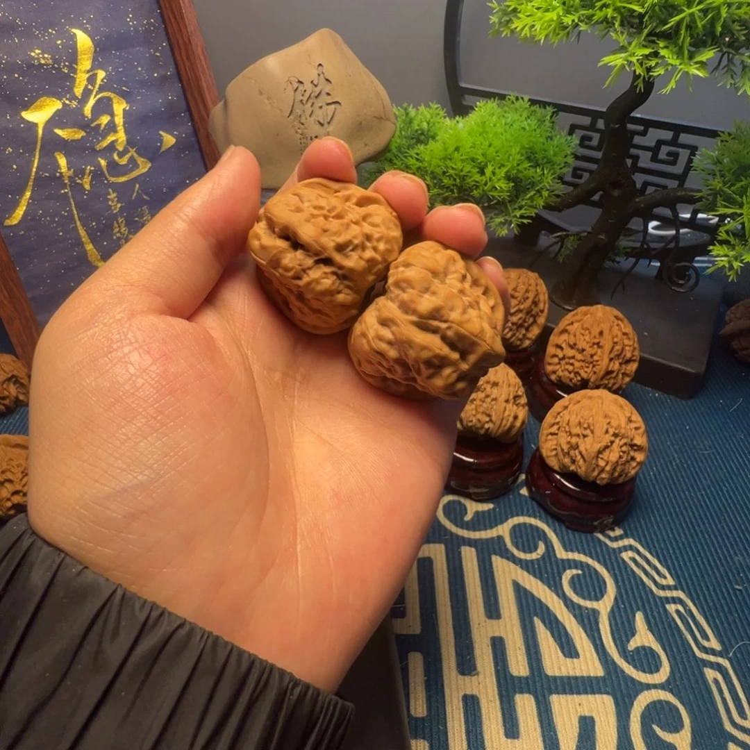 37尺精美蛤蟆头一对