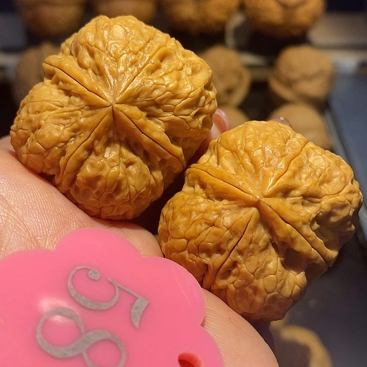 核桃四棱核桃尺寸39