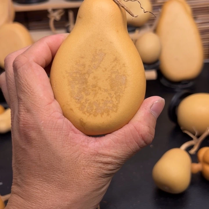 不**心556666965665566