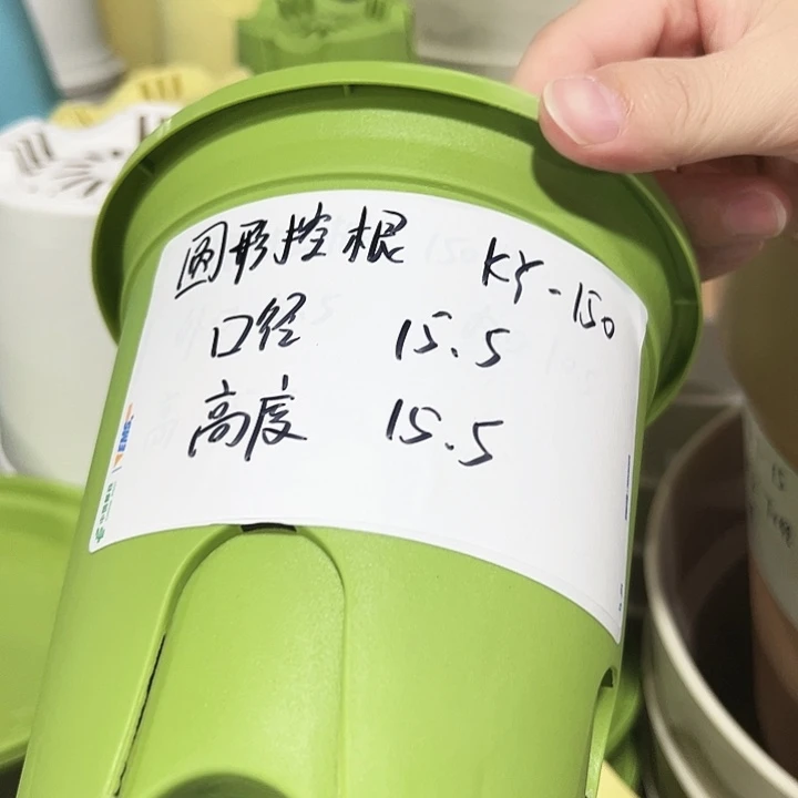 正品圆控口15高15果绿带托10只