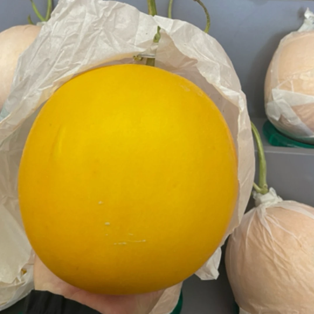（配送到家）蜜甜久红瑞甜瓜1颗4斤左右山东省