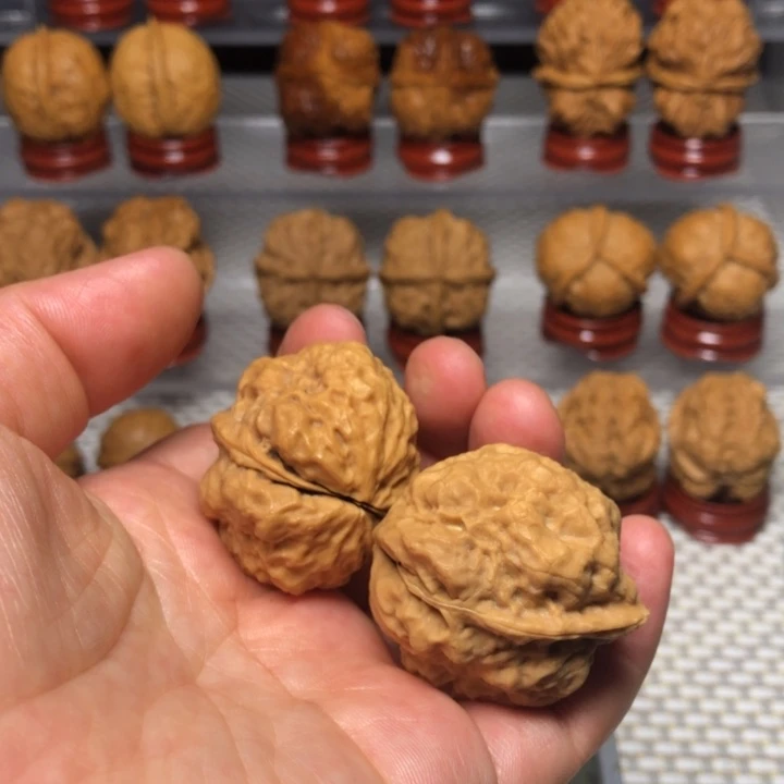 文玩核桃把件28鸭嘴兽