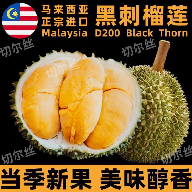 【顺丰空运】正宗马来西亚黑刺榴莲D200液氮冷冻锁鲜进口高品质水果