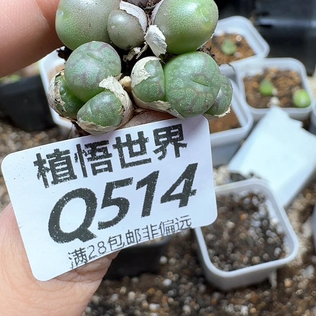 的润泽的润泽法地方