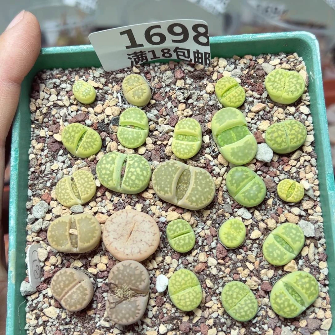 【闪购商品】1698……