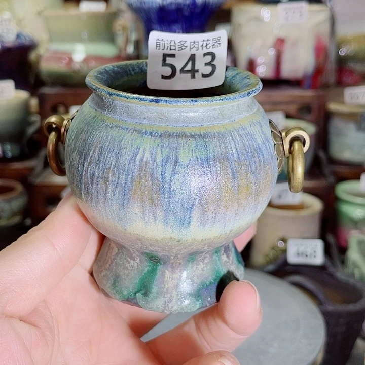 狼盆内口径5高度7