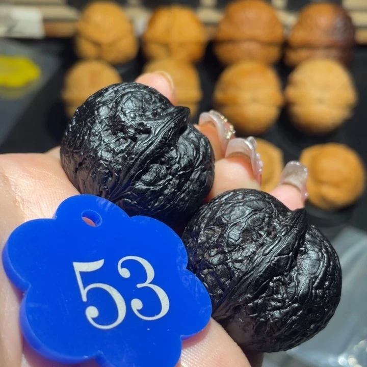 地闷元宝33尺寸核桃