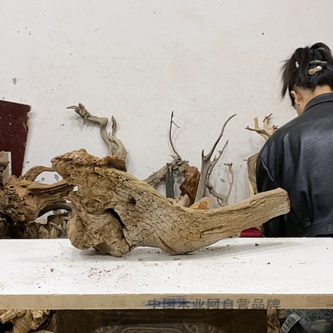 【闪购商品】柏木康****摩我们都是好孩子