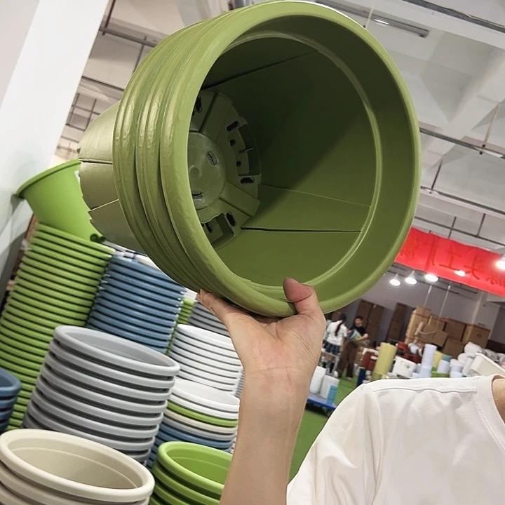 青山口32高28果绿色5个无托