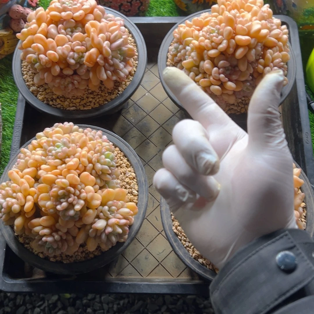 比尔111111111111111