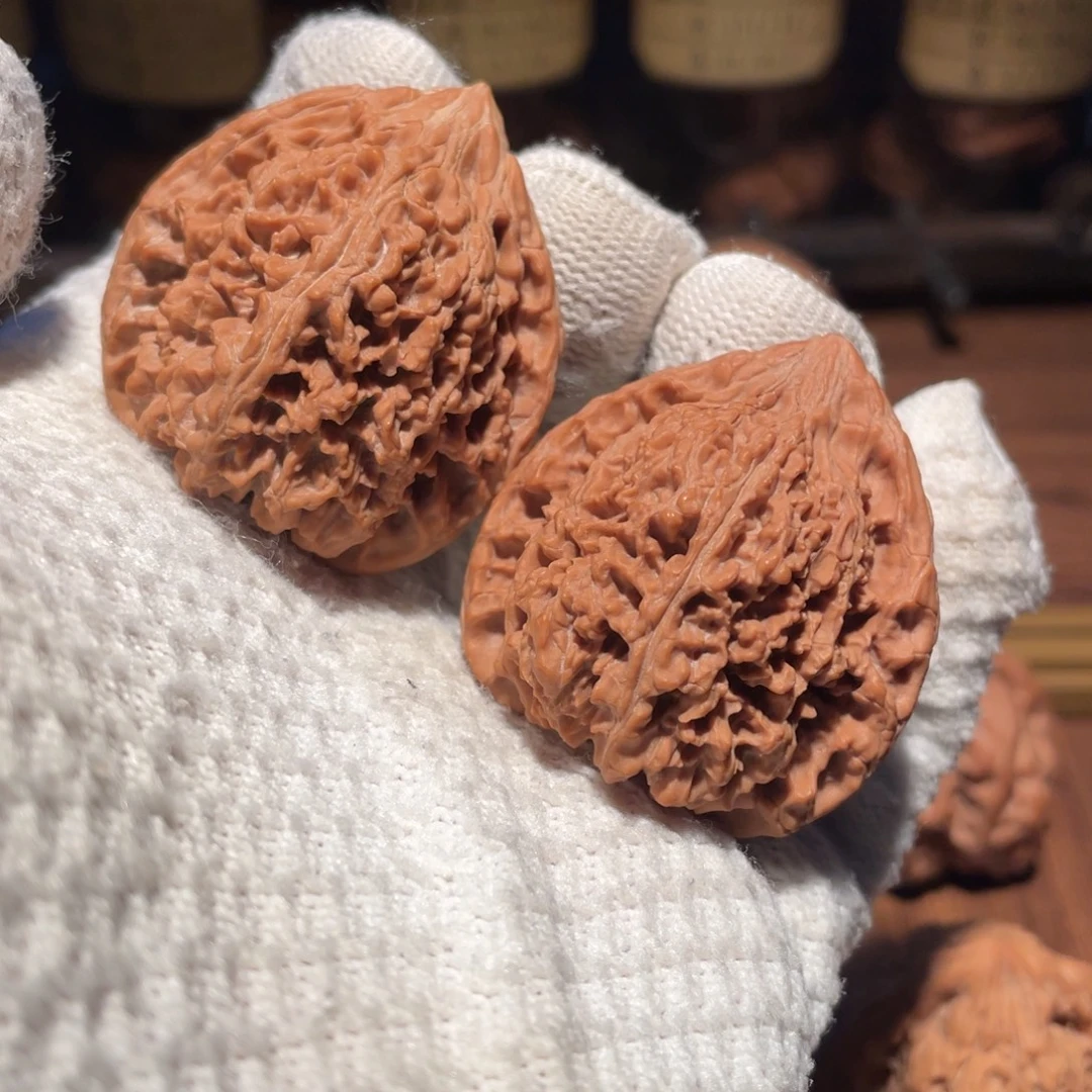 核桃40三角满天星xxx