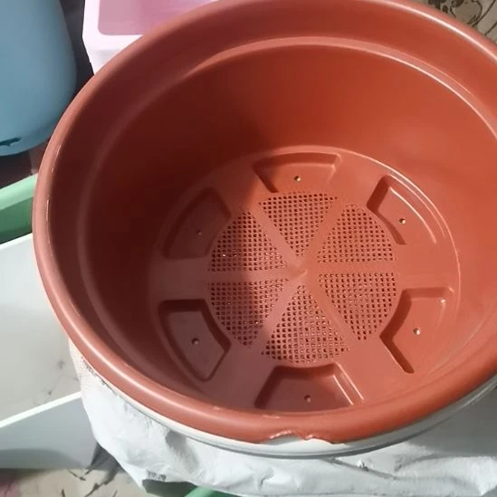 矮胖32老桩盆三个微瑕的