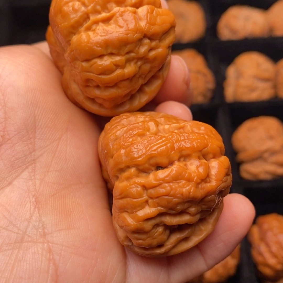 文玩核桃把件秦岭野生核桃