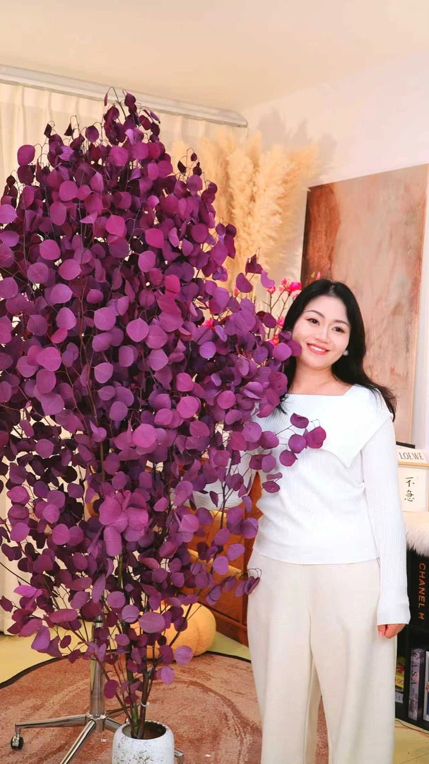 【巨大 一支成景】苹果尤加利树丨稀有 小众高级花材基地直采直发