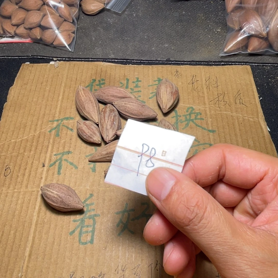 橄榄核吊坠橄榄核 不退不换