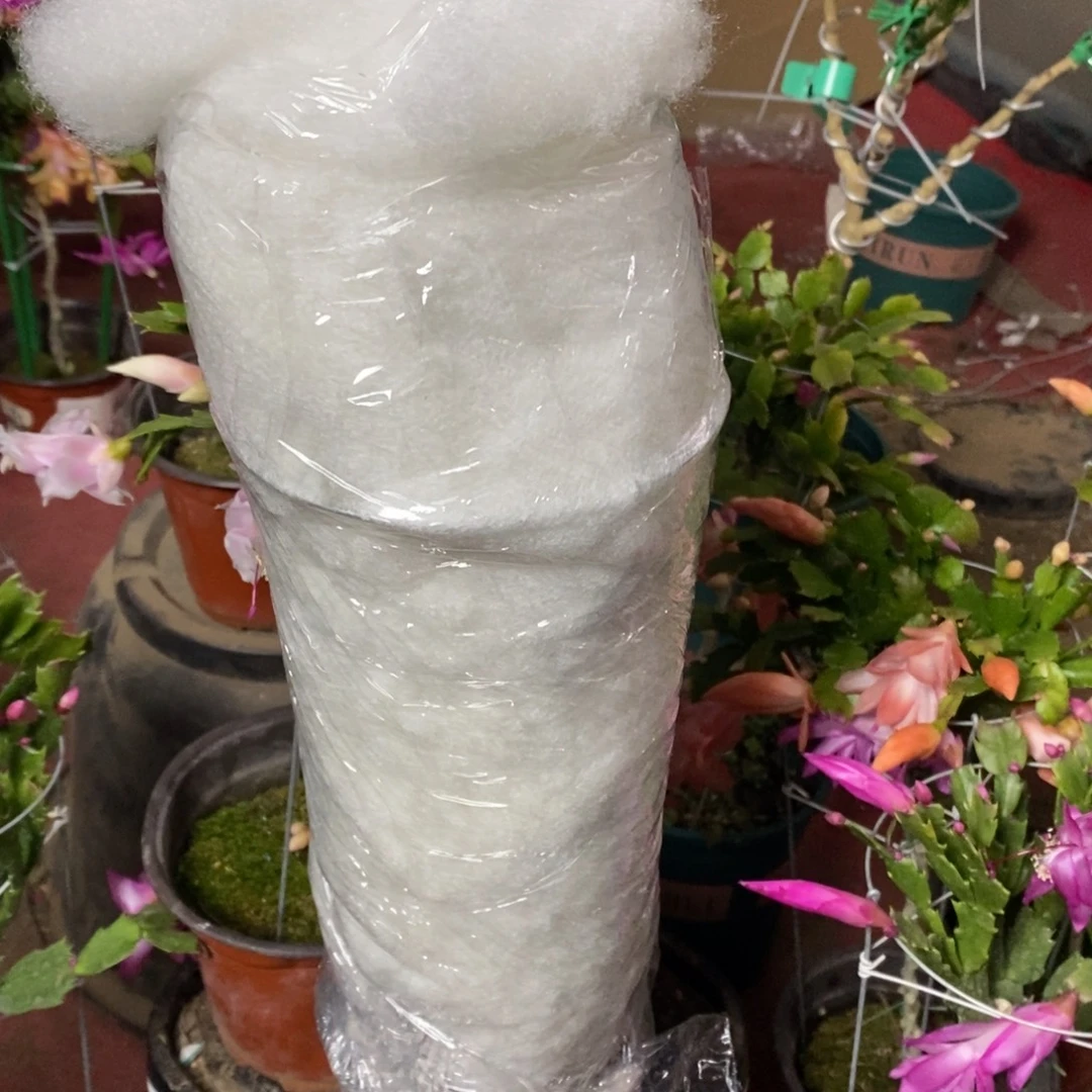 有****完全开放福利款单层