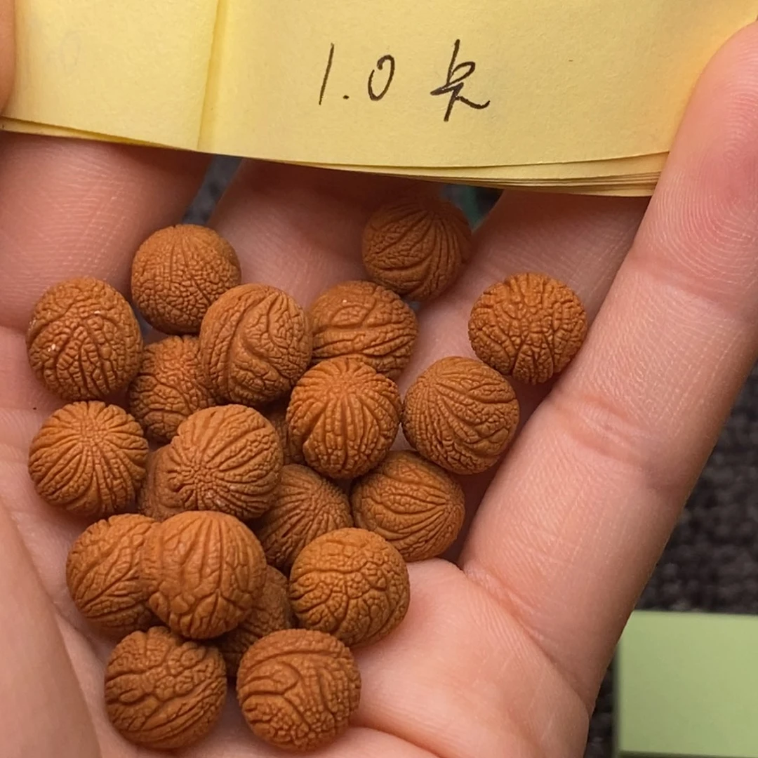 秦岭山脉龙纹桃核 21