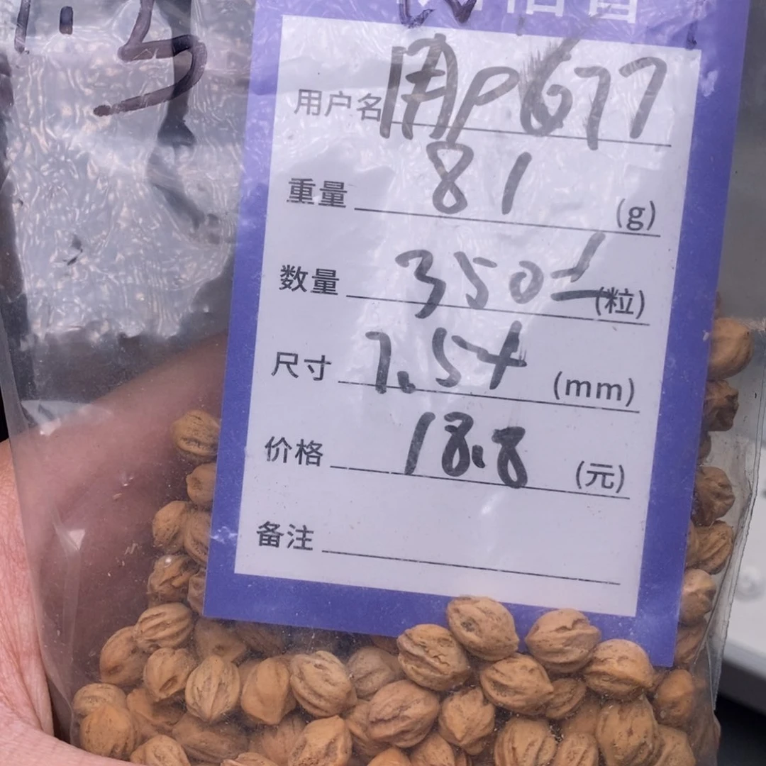 柏香籽/百香籽吊坠用***7