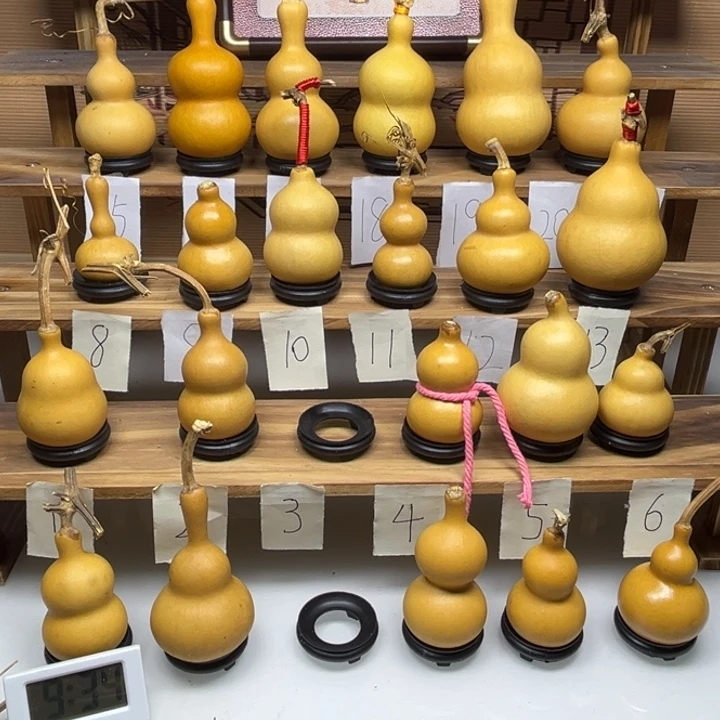 胡***爵啦啦啦啦啦啦啦啦啦啦