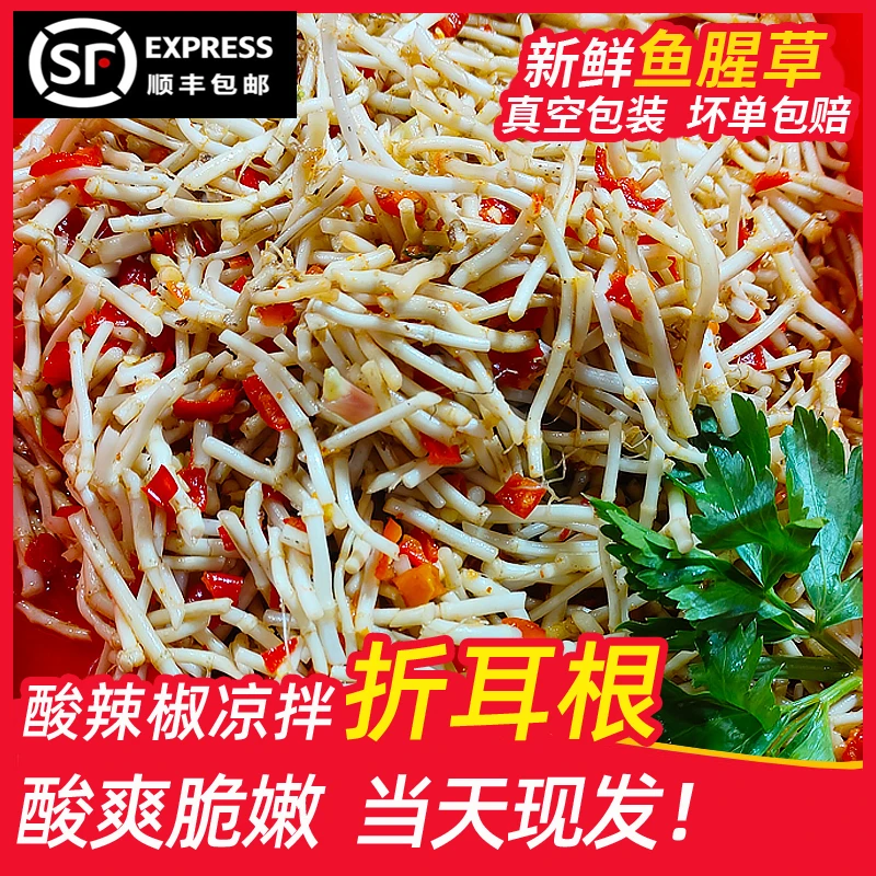 湖南贵州特产新鲜当季折耳根鱼腥草蔬菜嫩根凉拌下饭菜顺丰包邮