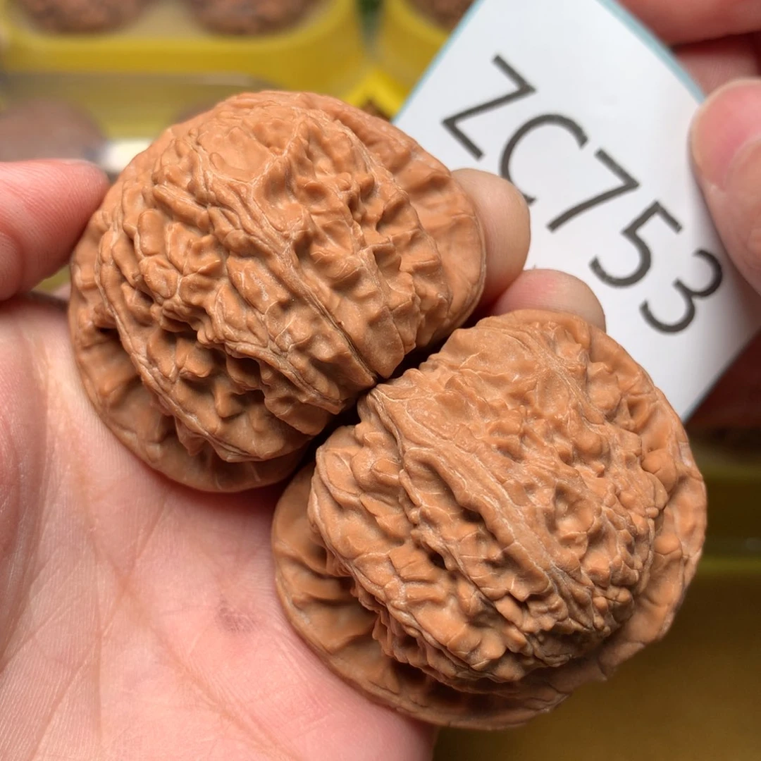 文玩核桃把件毕业粗筋红皮球白47