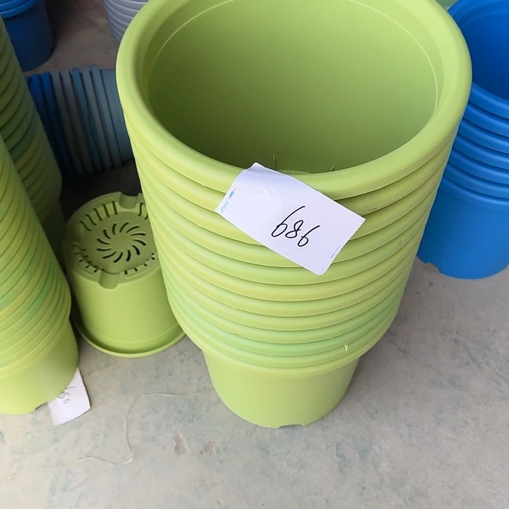 编号686串色5个无托