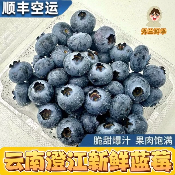 云南澄江高山花香蓝莓 香甜微酸果香味浓 125g/盒（顺丰空运）