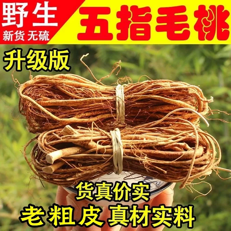 五指毛桃根正品整捆五指毛桃煲汤泡水泡酒