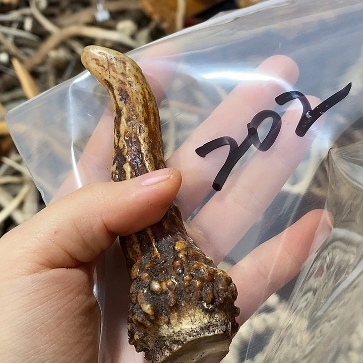 人***空石英石非金属鹿角鹿角