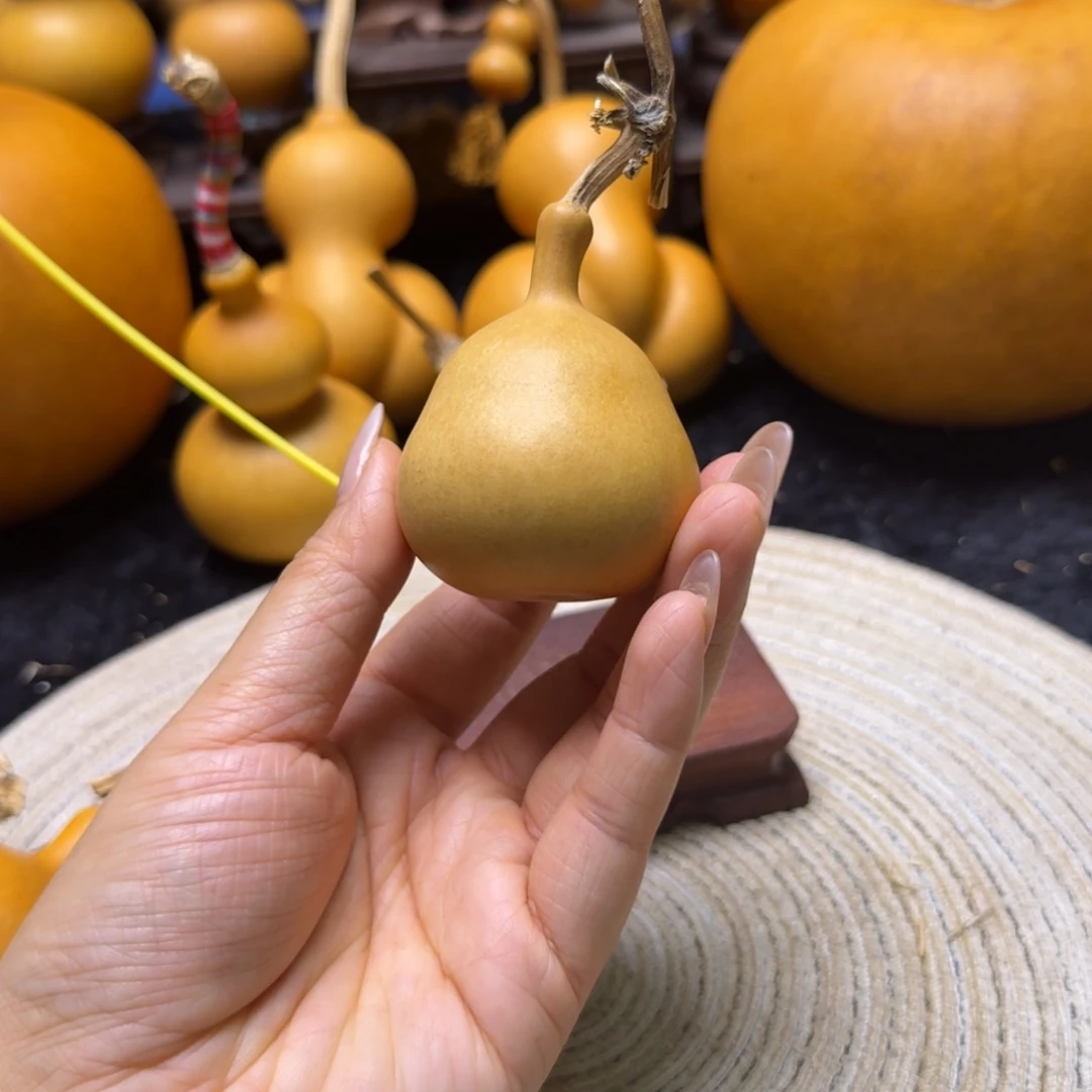 九***钉厚皮胖墩嘎嘎漂亮