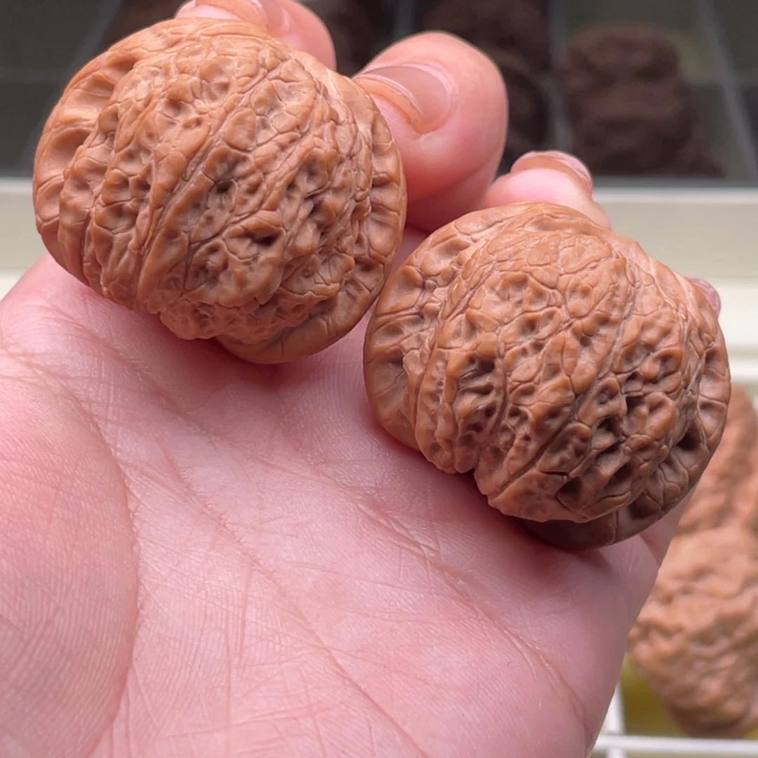 核桃全品血麒麟38