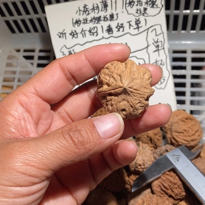 还***儿核桃金蝉尊三棱尺寸35