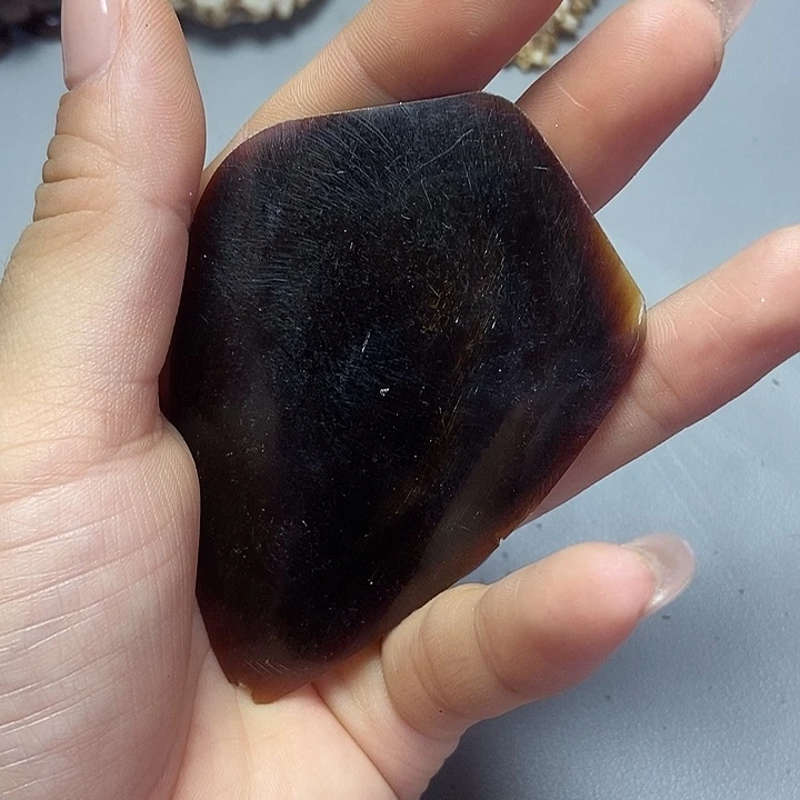 大果紫檀（缅甸花梨）