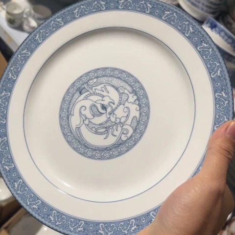 其他瓷10寸盘一个陶瓷
